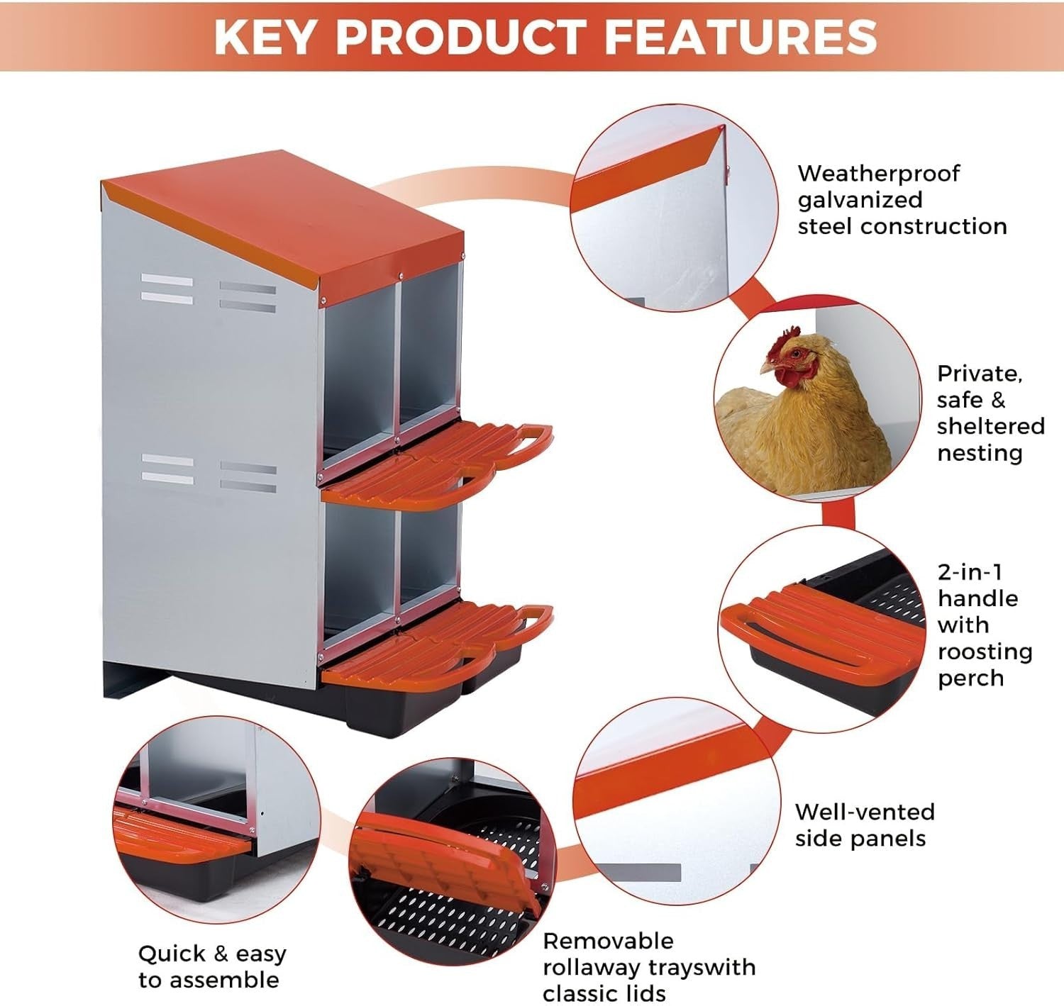 4 Chamber 2 Tier Chicken Nesting Box Steel Pull Out Tray