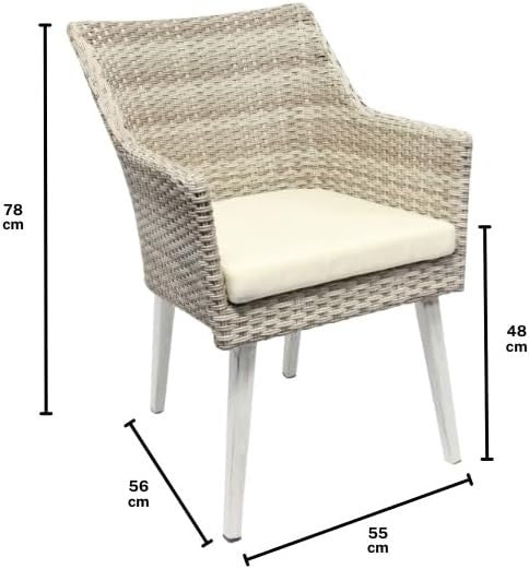 Indoor Rattan Dining Armchair With Cushion Modern Woven Seat Solid Legs