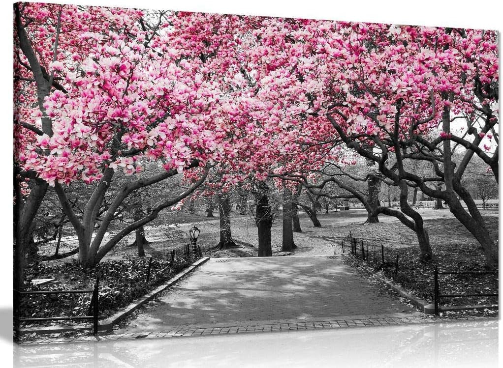 Large Canvas Wall Art Pink Blossom Tree Path Black White Living Room Decor