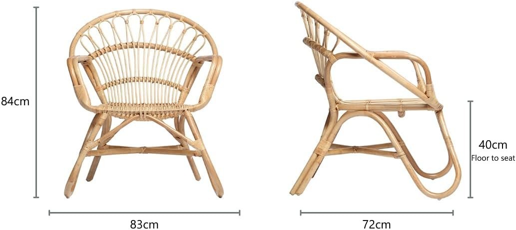Nordic Rattan Wicker Armchair Indoor Cane Lounge Chair Living Room