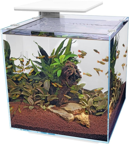 60L White Glass Aquarium with Filter & LED Light – Modern Fish Tank