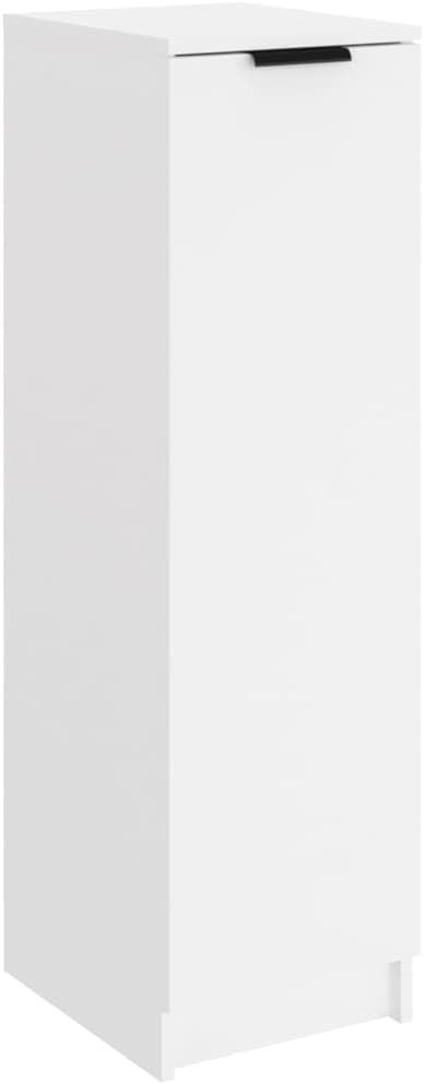 Modern White Shoe Cabinet with Door & Shelves, Sturdy Wall-Mounted Storage