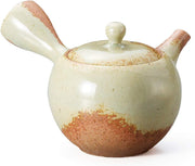 Japanese Tokoname Teapot 230ml Ceramic Tea Pot with Lid White