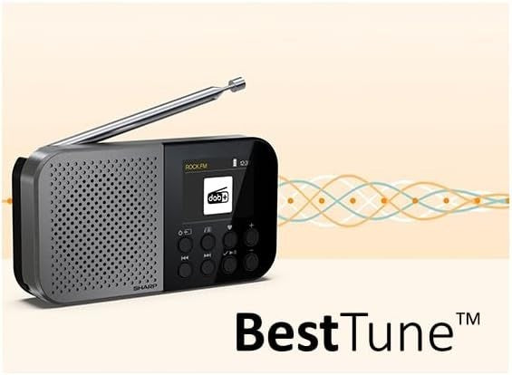 Portable Pocket DAB+/FM Digital Radio Bluetooth 5.3 USB-C Storm Grey