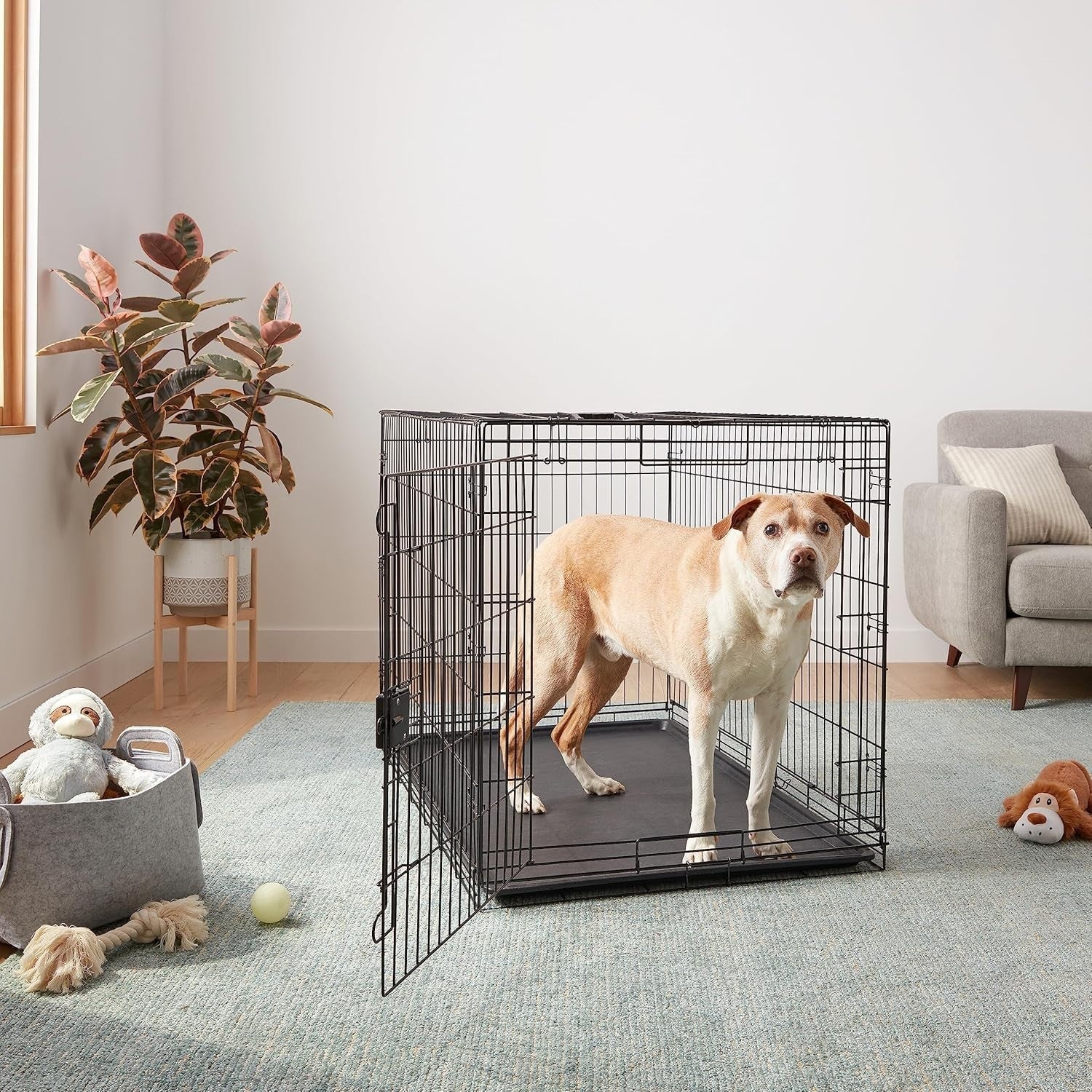 XXL Foldable Metal Dog Crate with Tray – Durable Single Door Cage 122cm