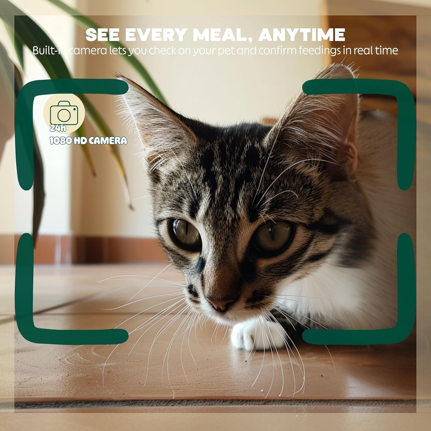 Smart Pet Feeder with Camera 6L WiFi App Control Auto Food Dispenser
