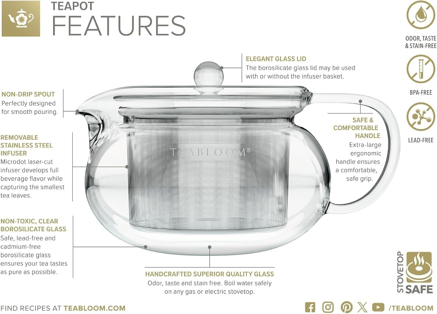 Glass Teapot with Stainless Infuser 24oz Stovetop Microwave Safe