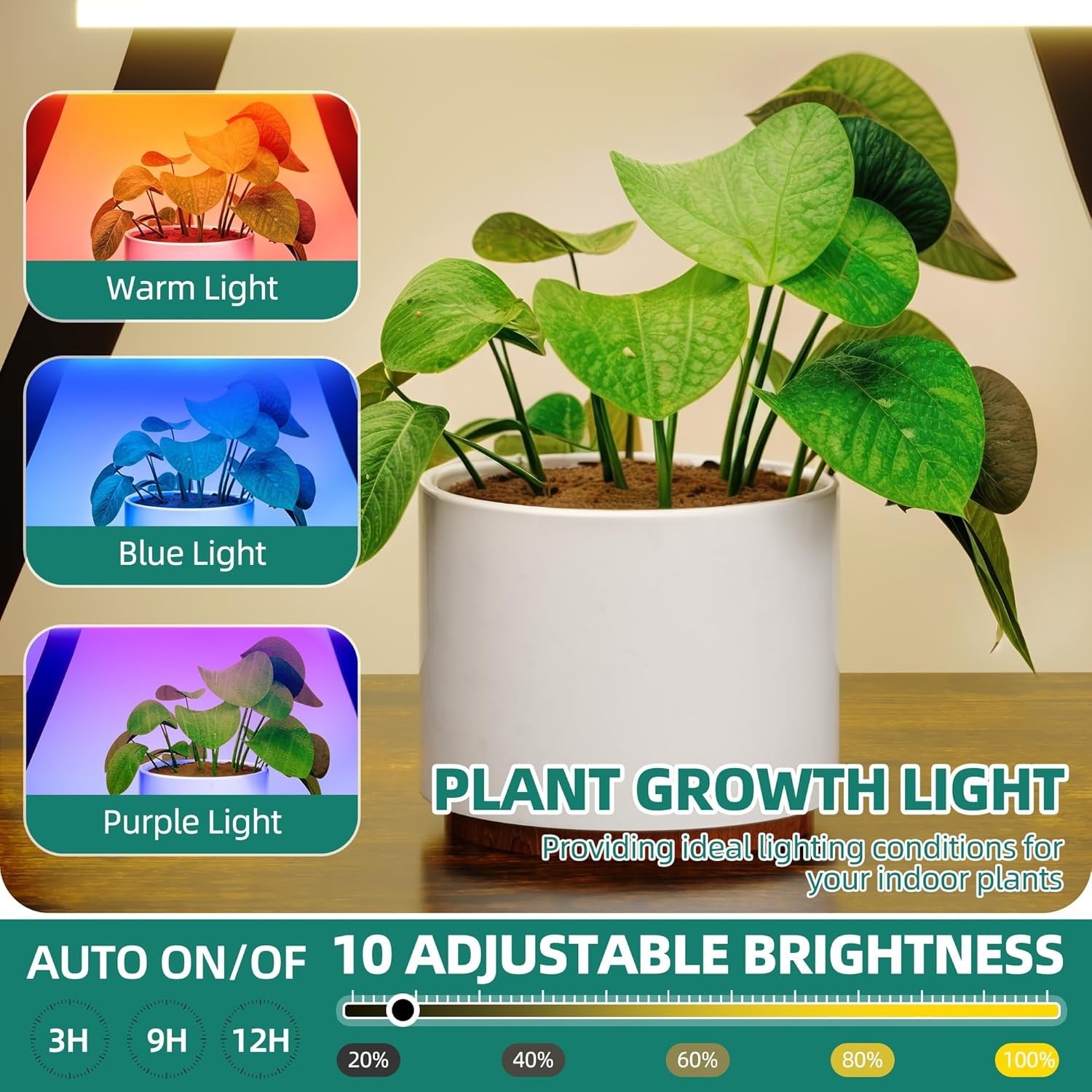 7 Tier Metal Plant Stand With LED Grow Lights Indoor Tall Corner Flower Rack