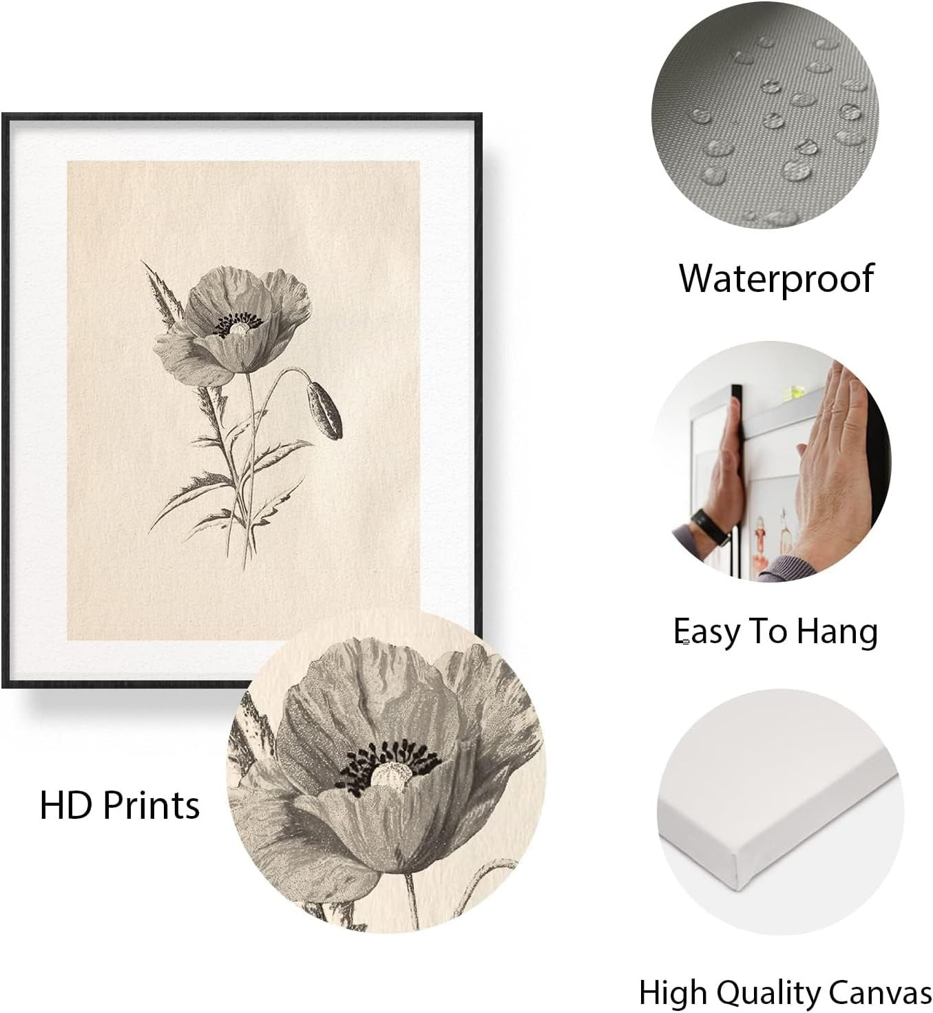Vintage Botanical Wall Art Prints Set 6pc 8x10in Unframed