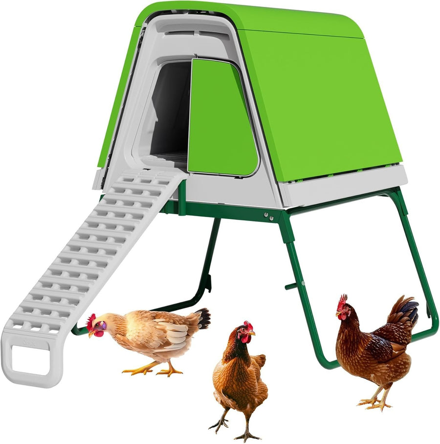 Raised Plastic Chicken Coop 2.18m Easy Clean Weatherproof House