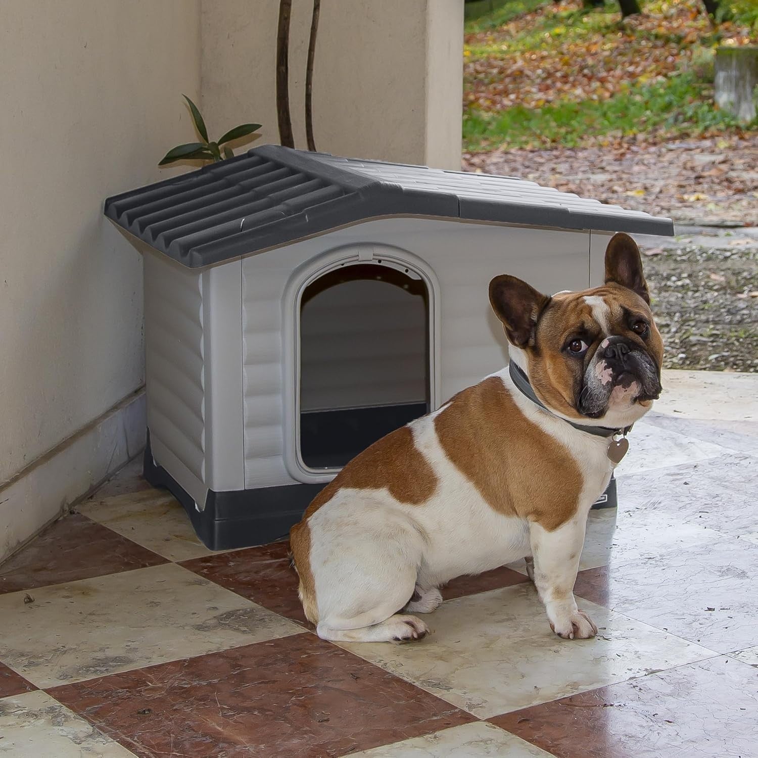 Outdoor Dog Kennel Small with Drainage, Insulating Base & Removable Roof