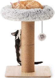 Cat Scratching Post With Plush Bed Solid Wood Jute Rope Indoor Cats