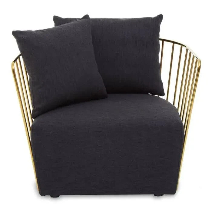 Black Velvet Armchair with Gold Frame Modern Accent Lounge Chair H68cm