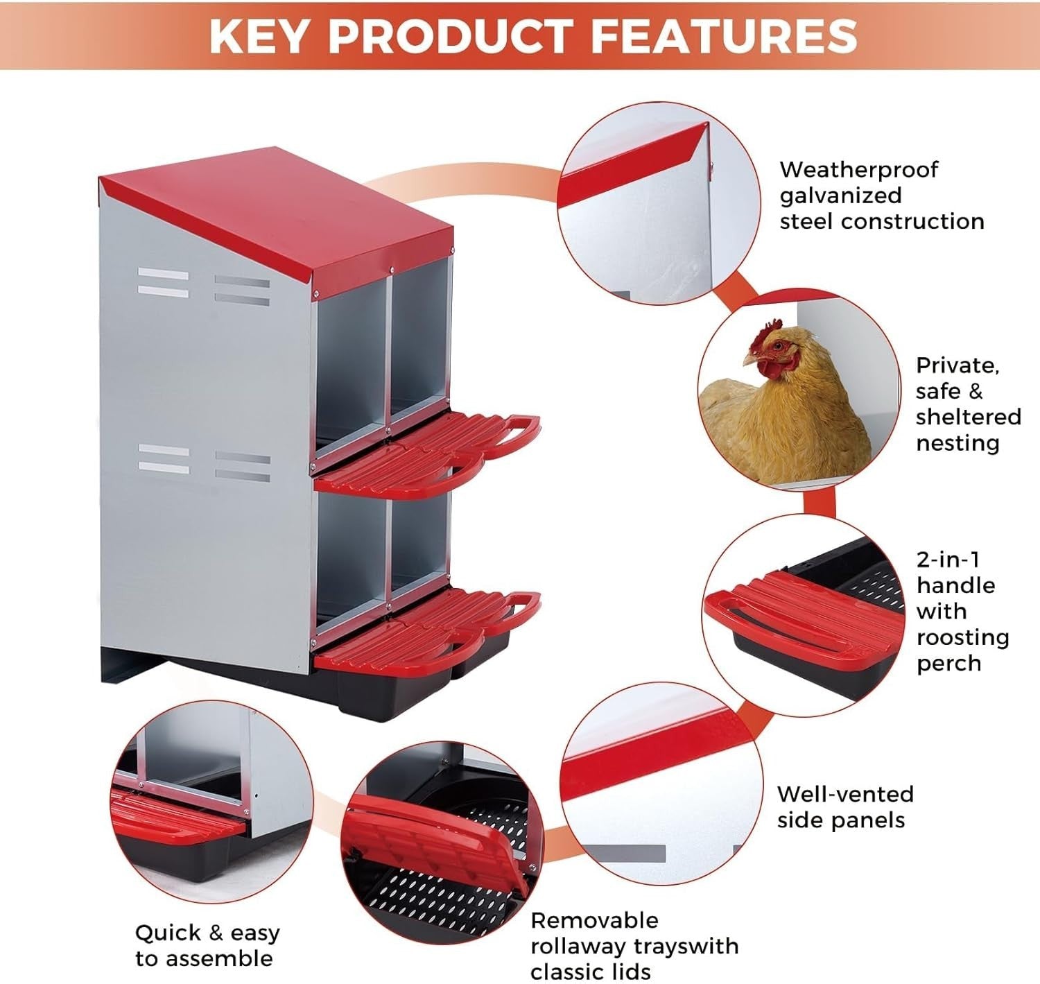 4 Chamber Galvanised Steel Chicken Nesting Box Pull Out Tray