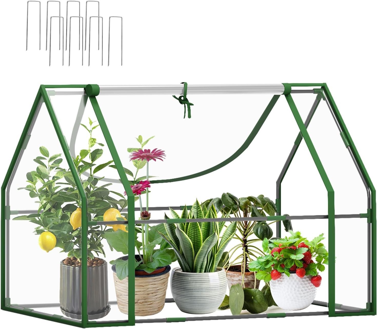 Large Mini Greenhouse Cold Frame Dual Door Plant Shelter Polycarbonate