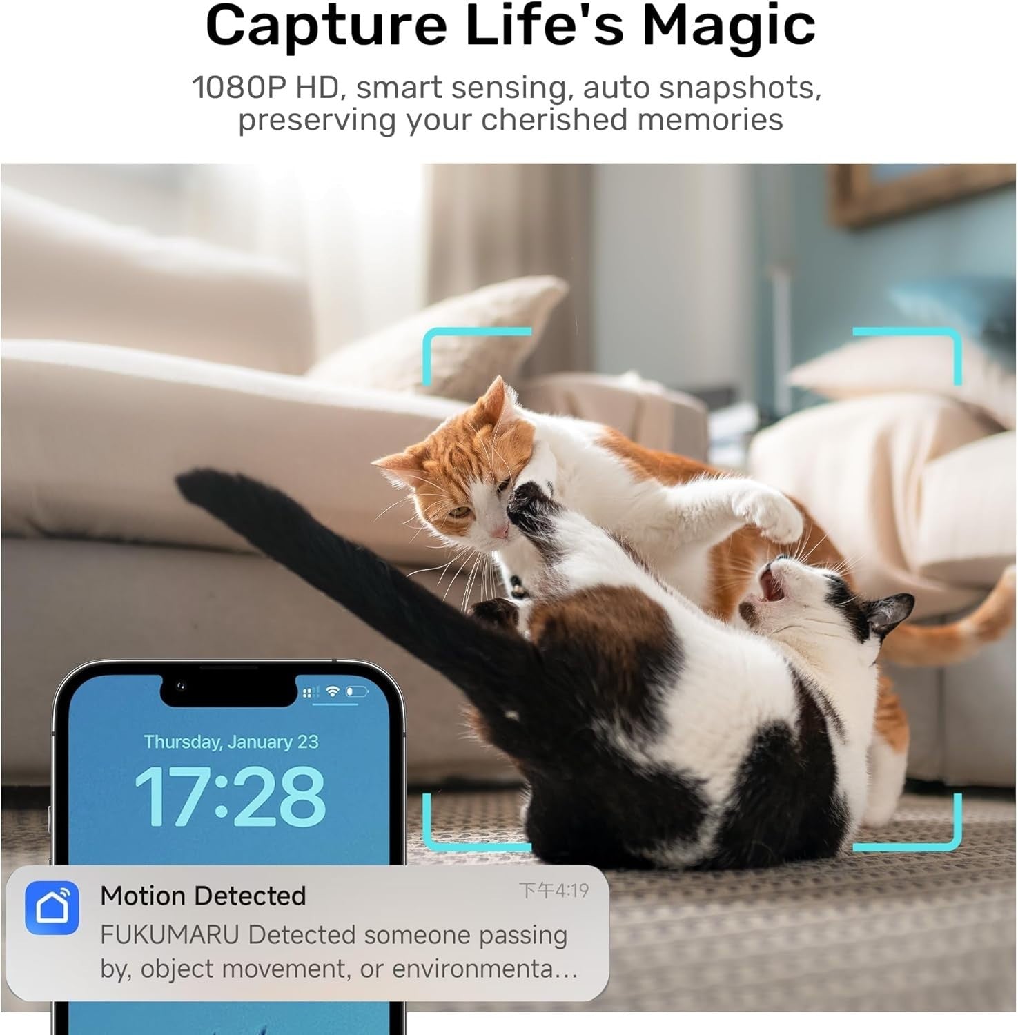 Smart Cat Feeder with Camera 1080P WiFi App Control 2 Way Audio