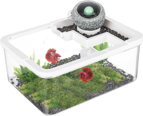 Small Desktop Fish Tank Kit | Filtered Aquarium w/ USB Light & Pump