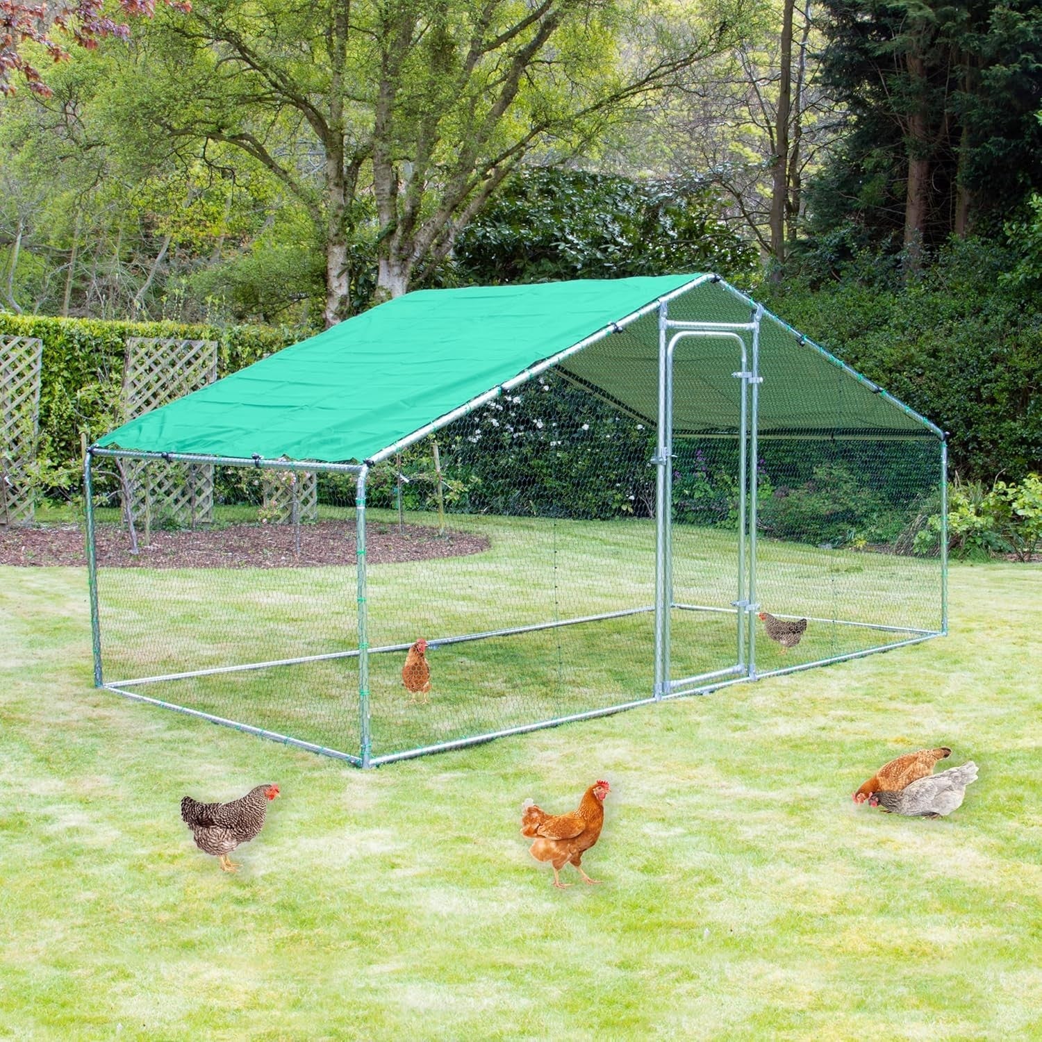 4x2m Walk In Chicken Run 25mm Steel Heavy Duty Pen