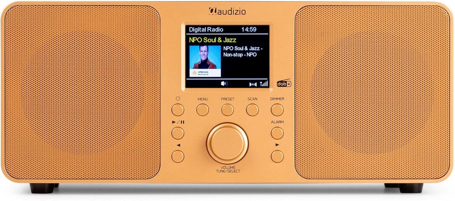 DAB+ Stereo Digital Radio Bluetooth USB AUX Dual Alarm Colour Display Copper