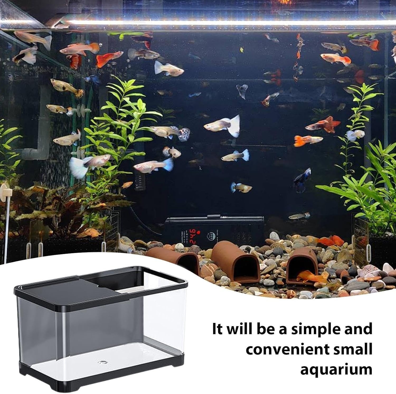 Small Fish Tank Starter Kit | Decorative Saltwater & Freshwater Aquarium
