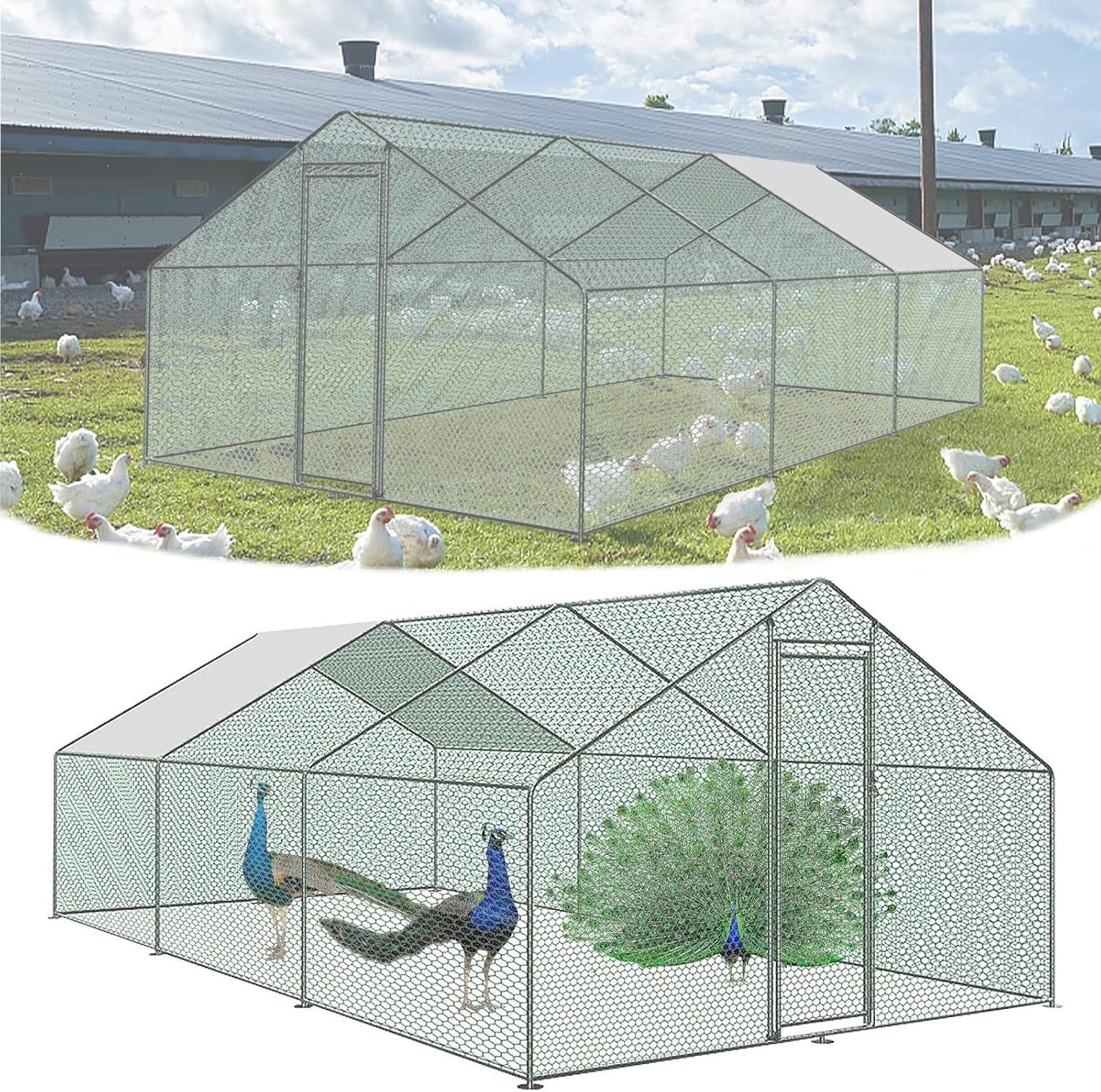 Extra Large Walk In Chicken Run Galvanised Steel Outdoor Enclosure 3x6m