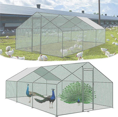 Extra Large Walk In Chicken Run Galvanised Steel Outdoor Enclosure 3x6m