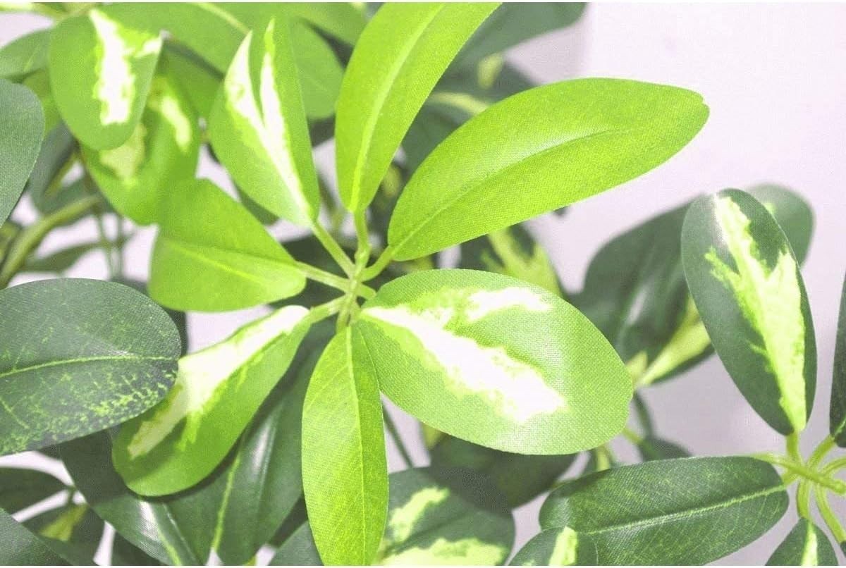 70cm Artificial Schefflera Umbrella Tree Bonsai Twist Green Indoor Plant Decor