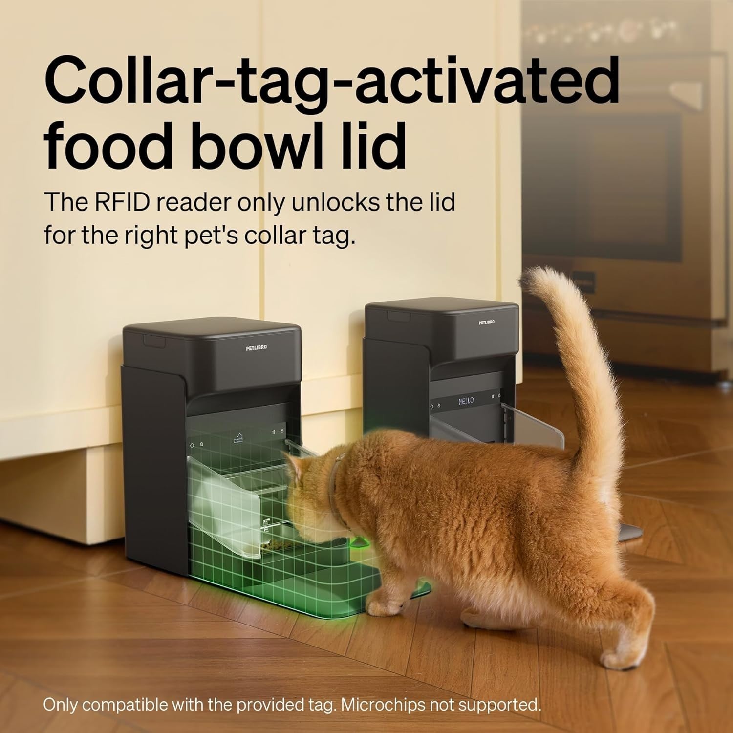 RFID Automatic Cat Feeder WiFi App Control 3L Anti Food Stealing