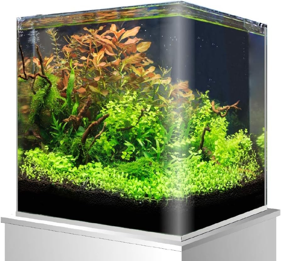 20L Nano Aquarium Glass Tank with Shock Mat for Fish & Turtles