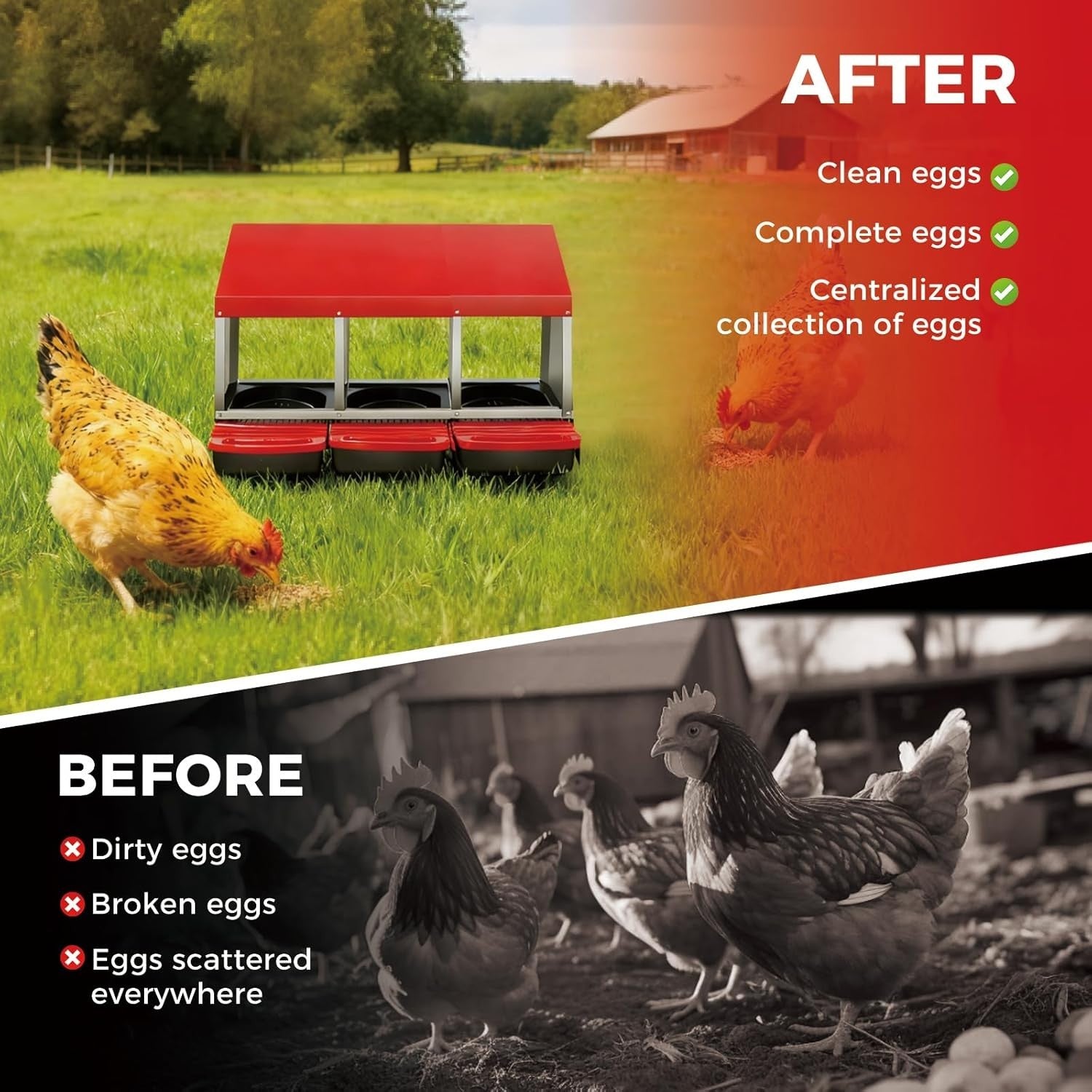 3 Chamber Galvanised Steel Chicken Nest Box Pull Out Tray Red