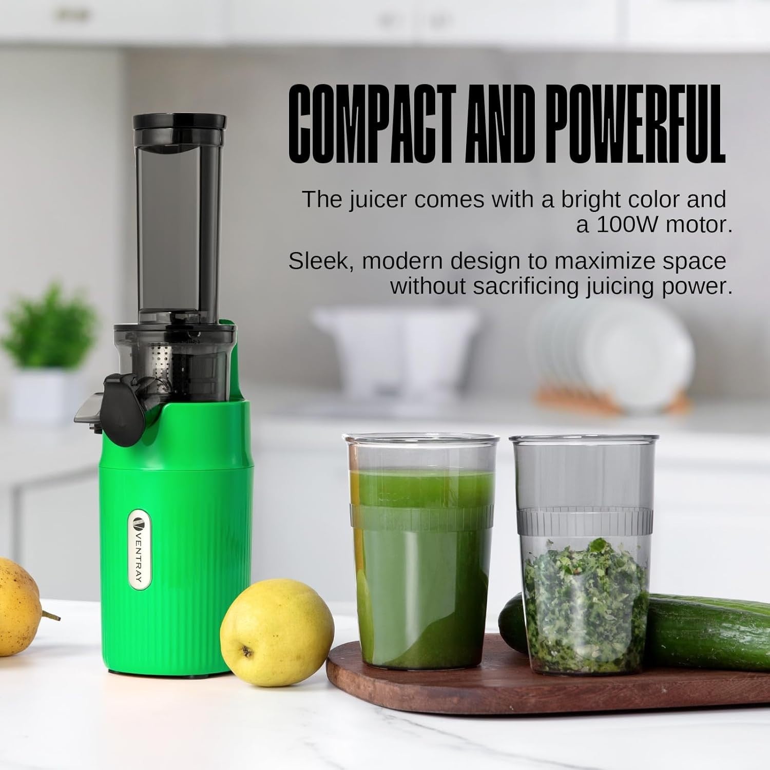 Compact Cold Press Citrus Juicer Slow Chew 60RPM Portable Green