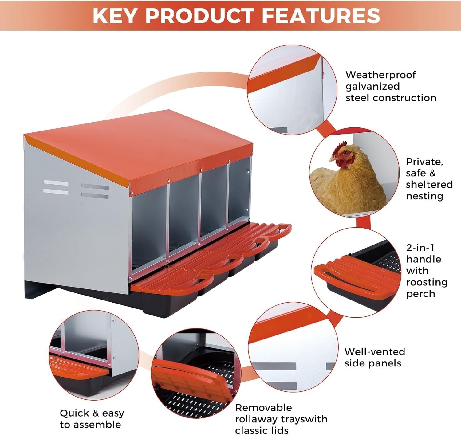 4 Chamber Galvanised Steel Chicken Nest Box Pull-Out Tray