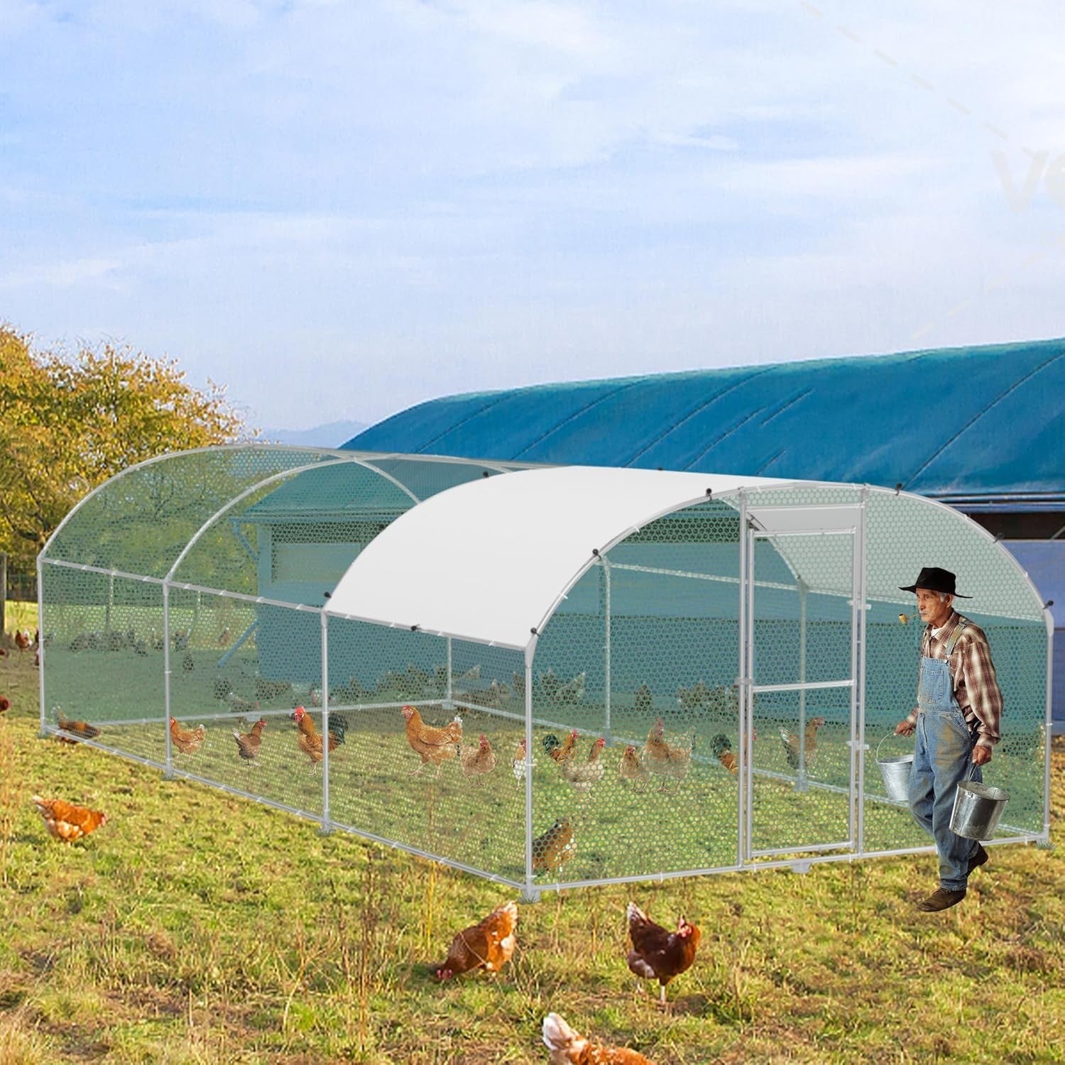 Extra Long Walk In Chicken Run Galvanised Steel Outdoor Enclosure 6x3x1.85m
