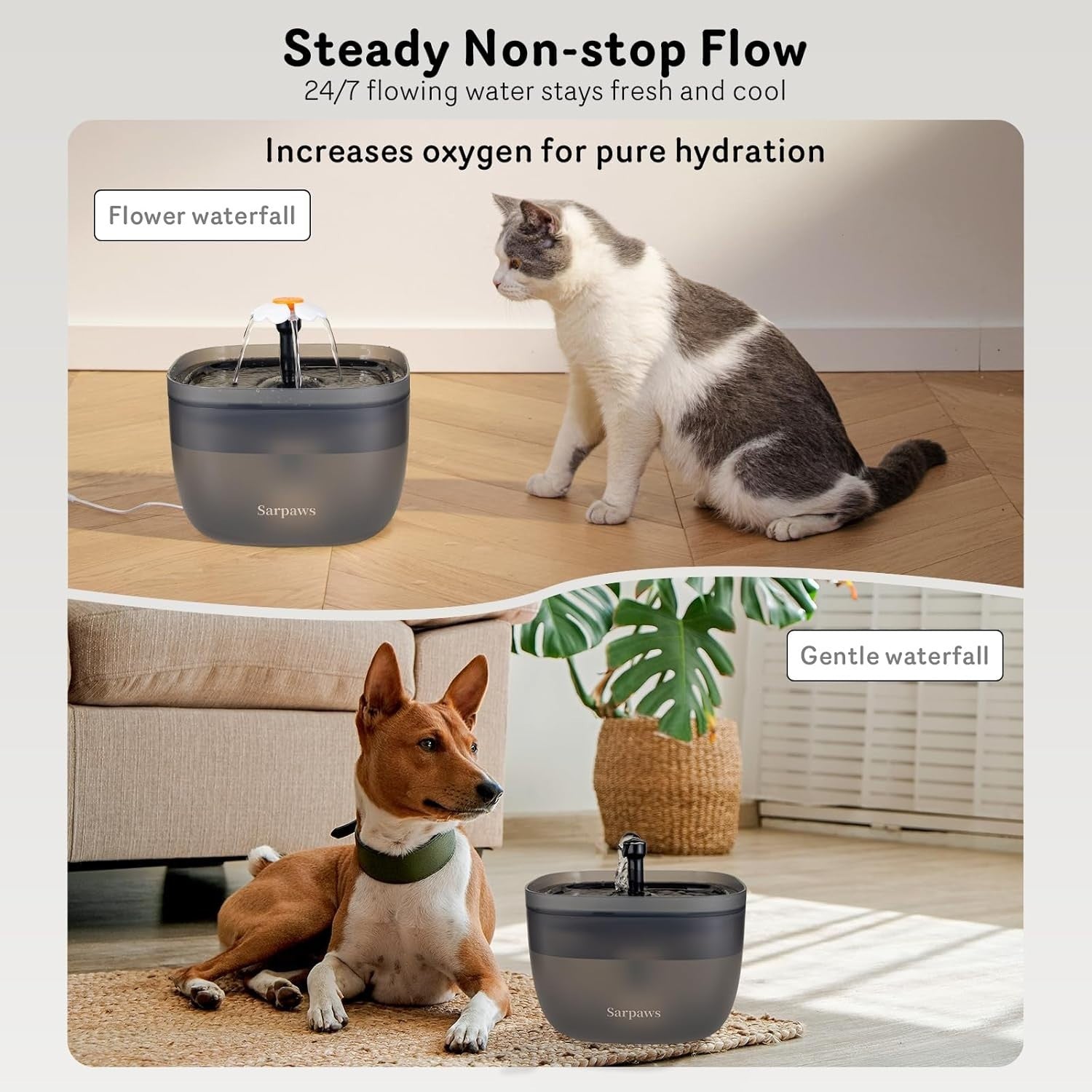Automatic Cat Feeder Water Dispenser 3L Timed Pet Food Feeder Voice Record