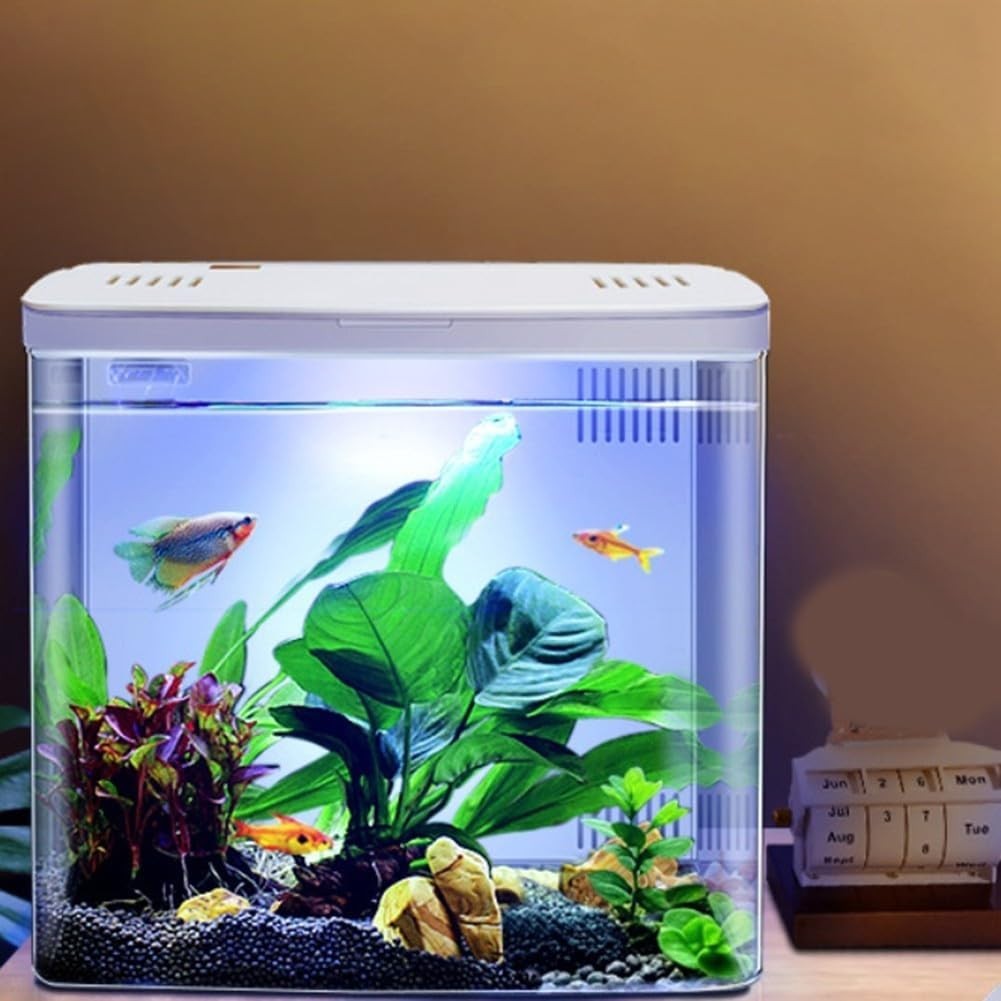 Acrylic Desktop Fish Tank LED Lighting Three-Layer Filter for Small Fish
