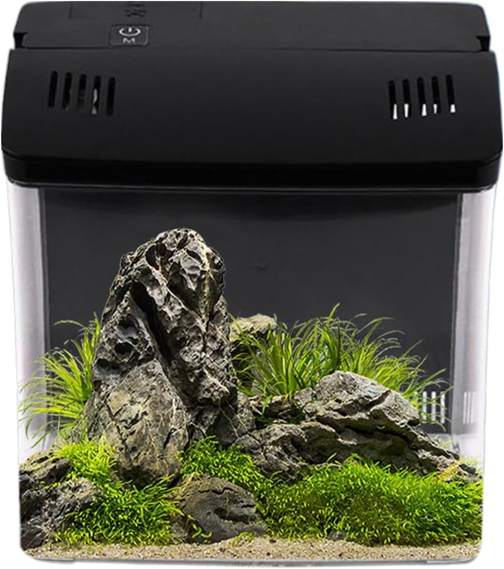 Small Desktop Fish Tank with Filter | Quiet Aquarium for Home & Office