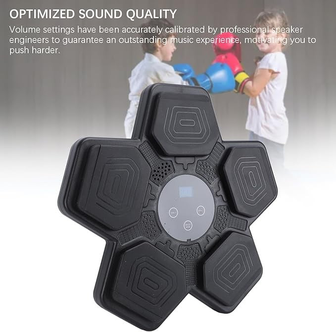 Wall Mounted Music Boxing Trainer Bluetooth LED Punch Pads Home Workout
