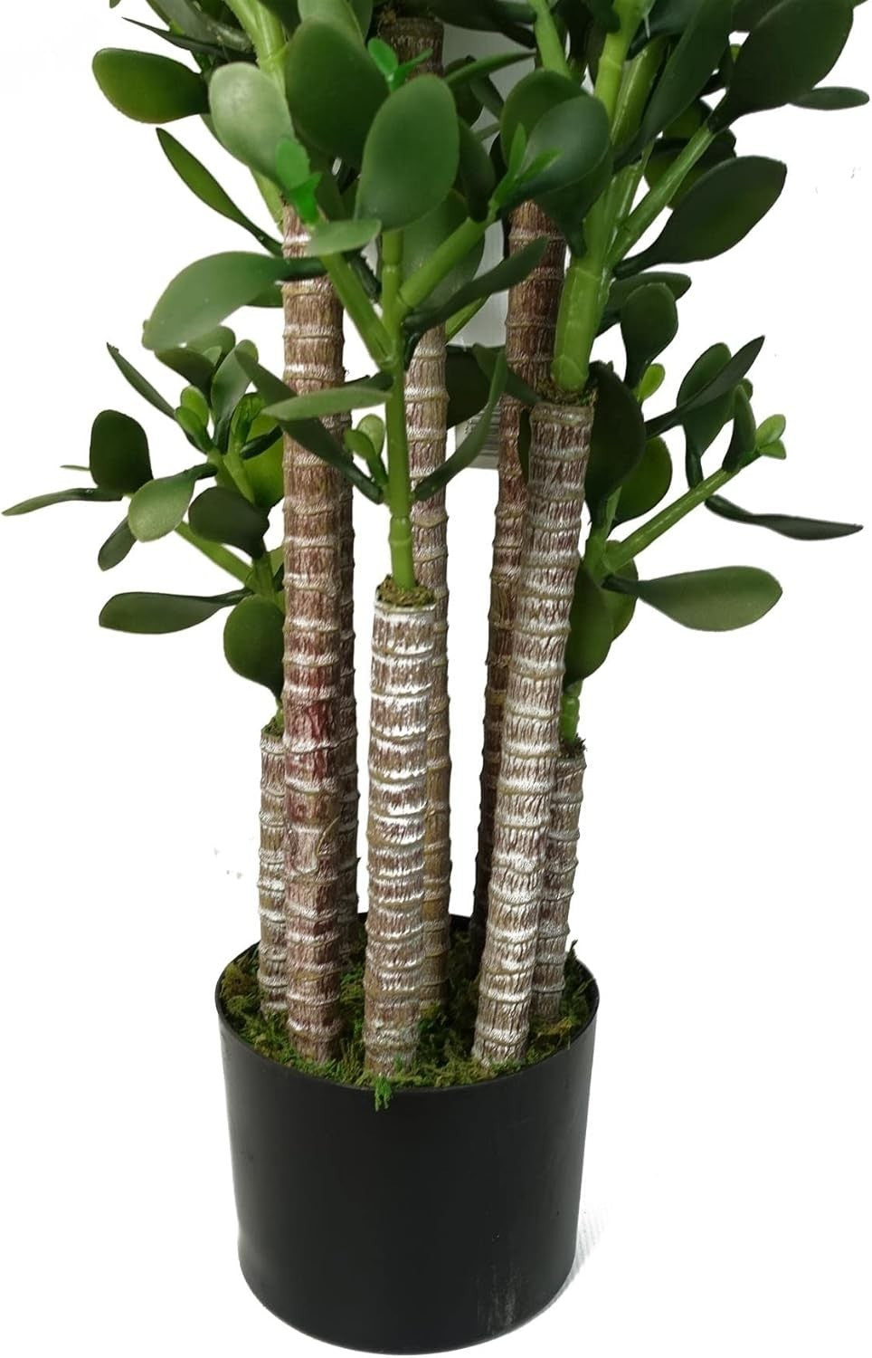 75cm Green Jade Bonsai Artificial Tree Realistic Indoor Home Office Decoration