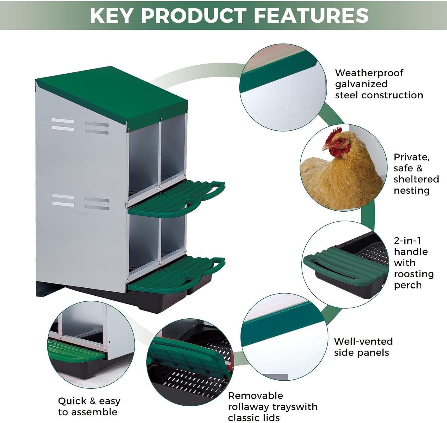 2 Tier 4 Chamber Metal Chicken Nesting Box Pull Out Tray