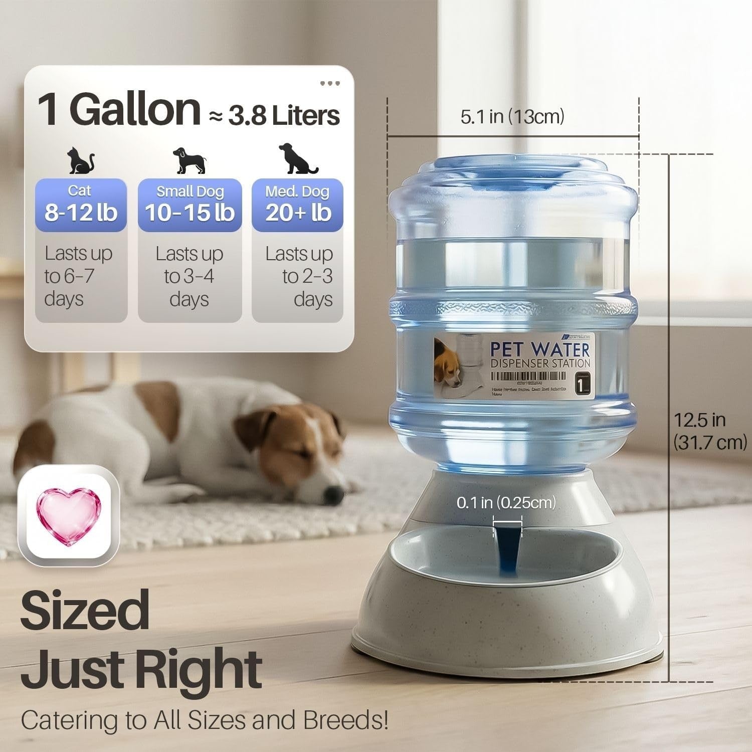 Gravity Pet Feeder Water Dispenser Set Auto Food Station for Cats Dogs
