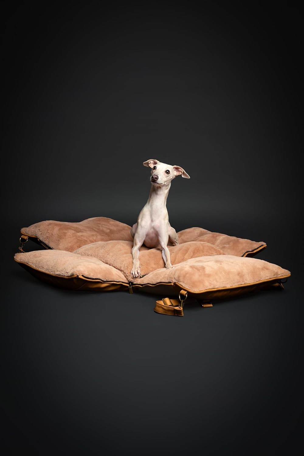 Luxury Dog Booster Car Seat Orthopedic Foam Washable Travel Bed