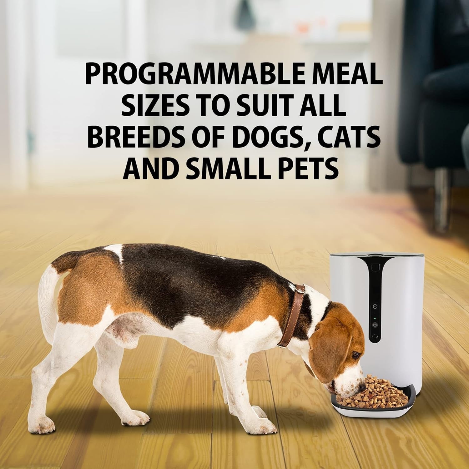 Smart Pet Feeder WiFi Camera 2 Way Audio Auto Food Dispenser Timer