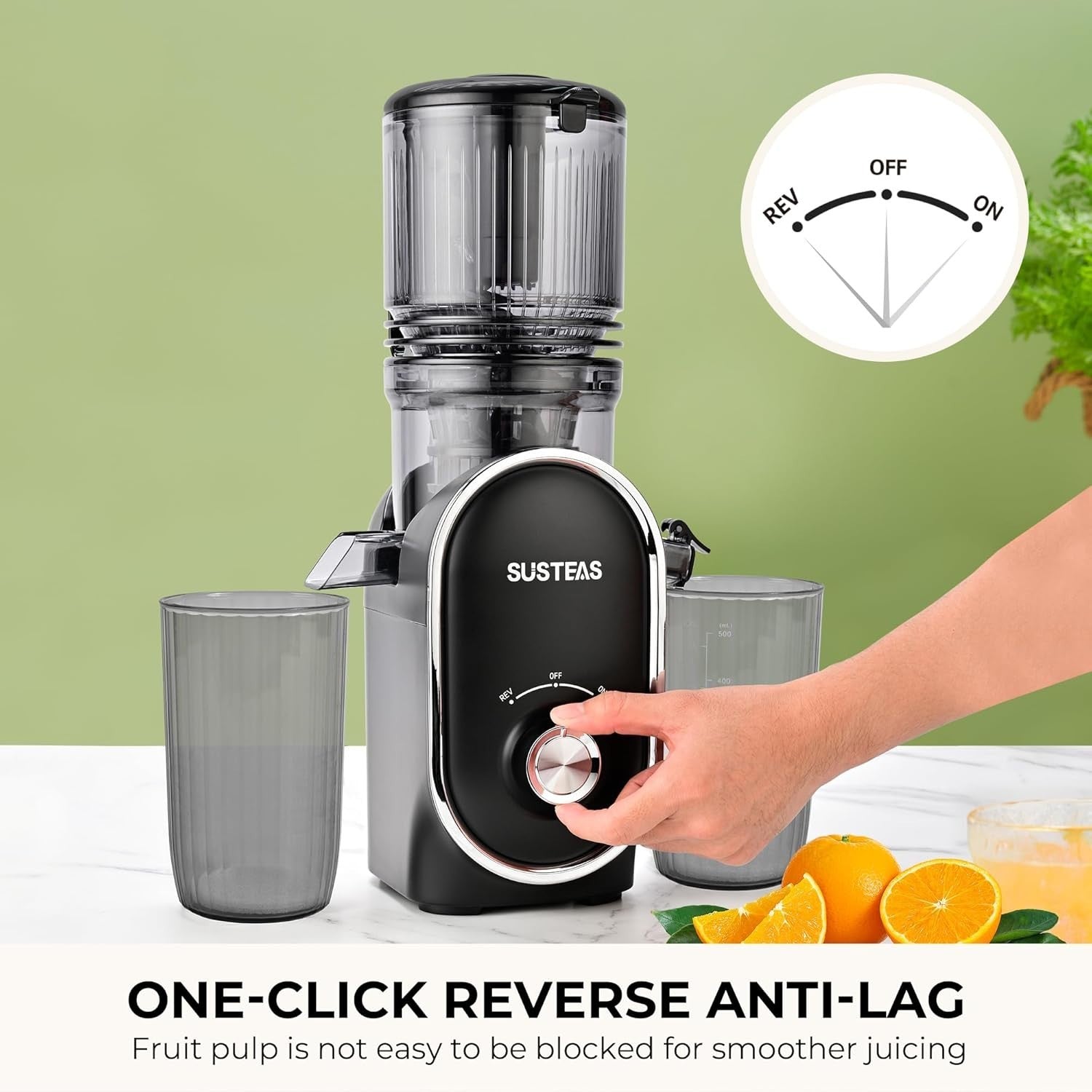 Cold Press Juicer 300W 5.3in Wide Feed Chute Whole Fruit High Yield