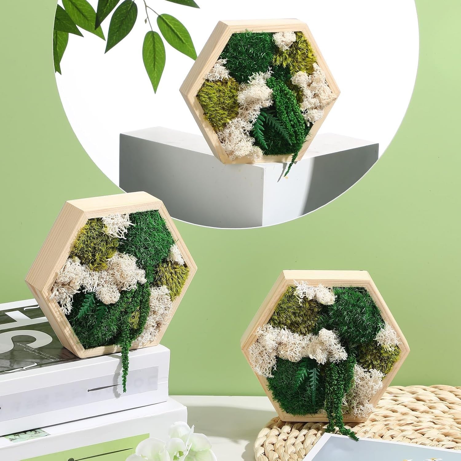 3Pc Moss Wall Art Hexagon Wood Frame Green Decor Hanging Set