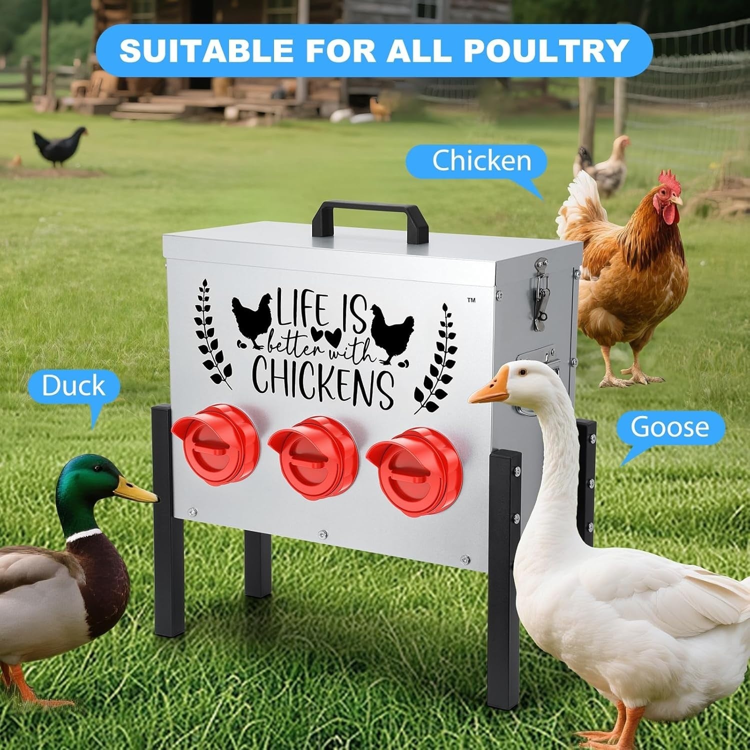 30lb Chicken Feeder 6 Port No Waste Galvanised Metal