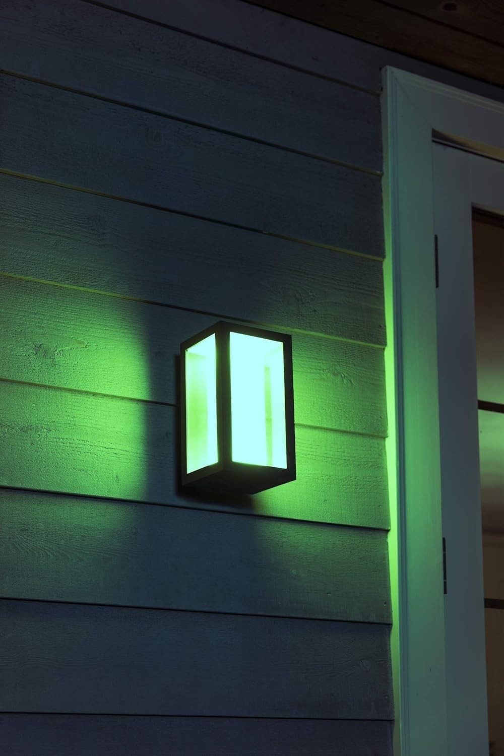Slim Smart Garden LED Wall Light with Voice Control & Colour Ambiance