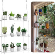 3 Tier Hanging Clear Acrylic Plant Shelf Window Garden Display for Indoor Plants
