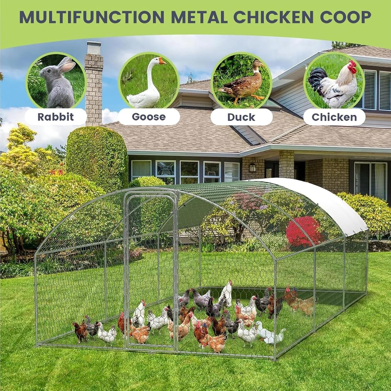 Large Walk In Chicken Run 5.8x3m Galvanised Poultry Pen
