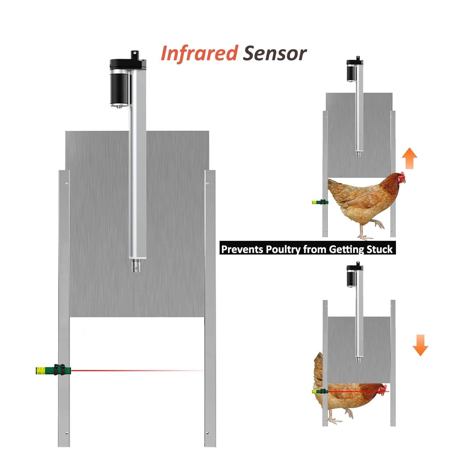 Automatic Chicken Coop Door Opener Timer 32cm Steel