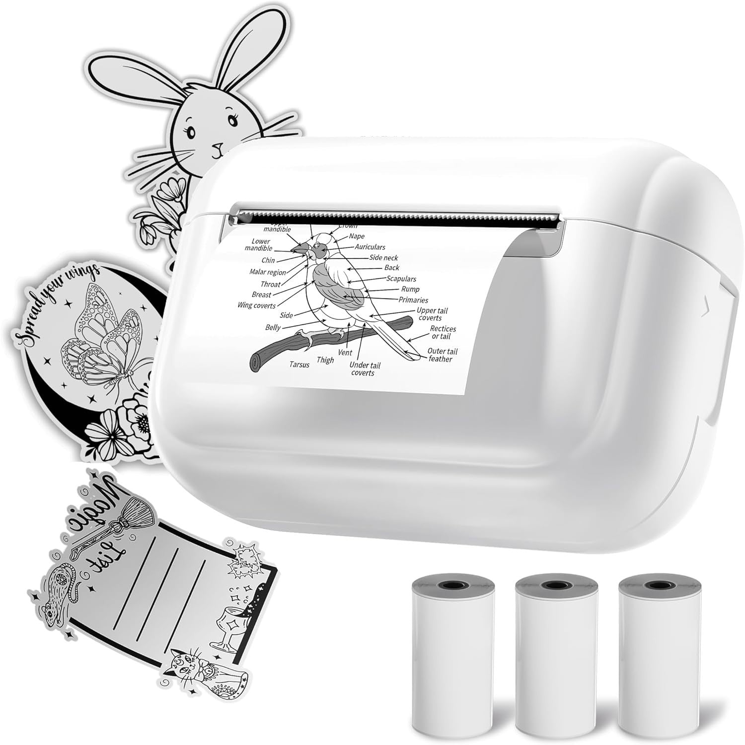 Mini Thermal Sticker Printer White Bluetooth Portable w/ 3 Paper Rolls